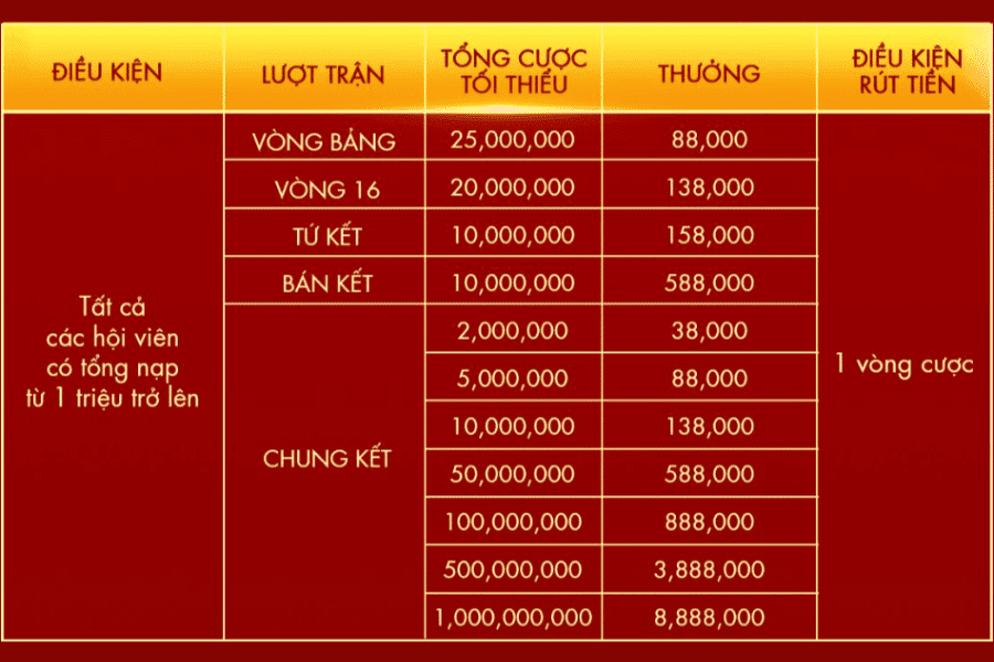 đồng hành cùng đội tuyển quốc gia