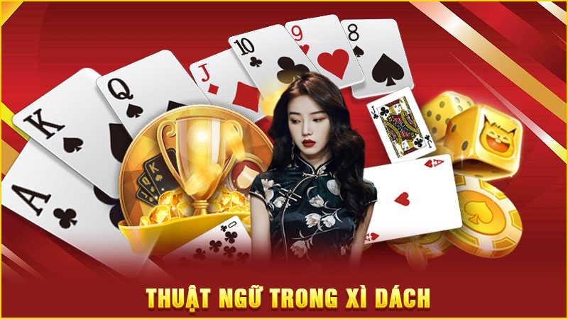 thuật ngữ trong xì dách