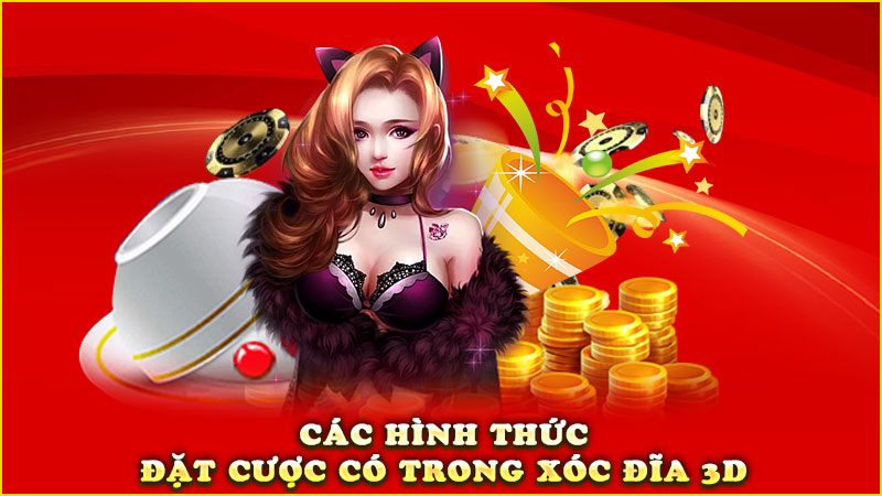 các hình thức đặt cược có trong xóc đĩa 3d